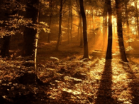 KIRÁNDULÁS BAKONYBÉLBE