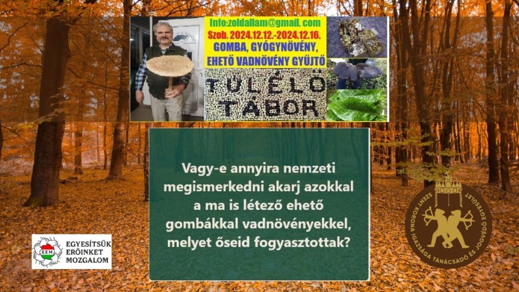 Decemberi Túlélő Tábor