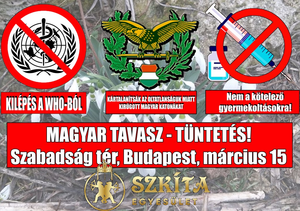 Magyar Tavasz –&nbsp;Tüntetés