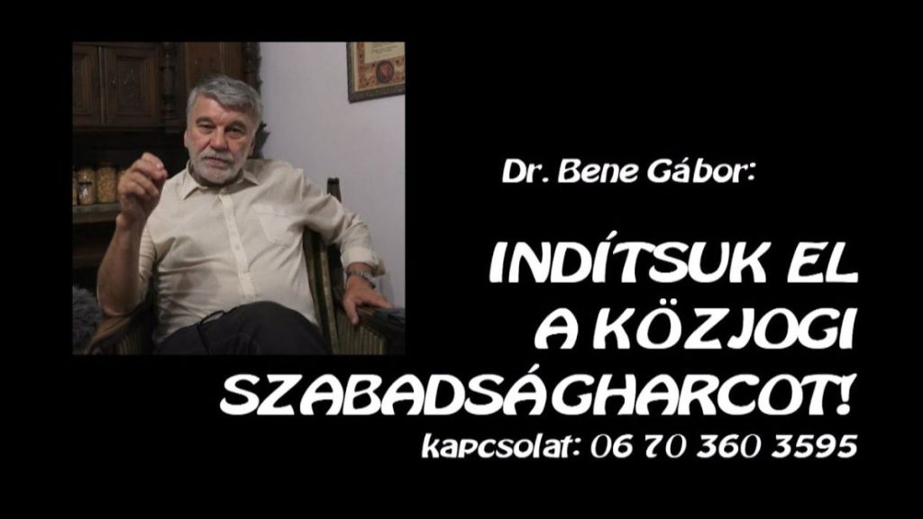 Bene Gábor: Az ALKOTMÁNYOSSÁG kérdései 1. Az ellenállási&nbsp;jog